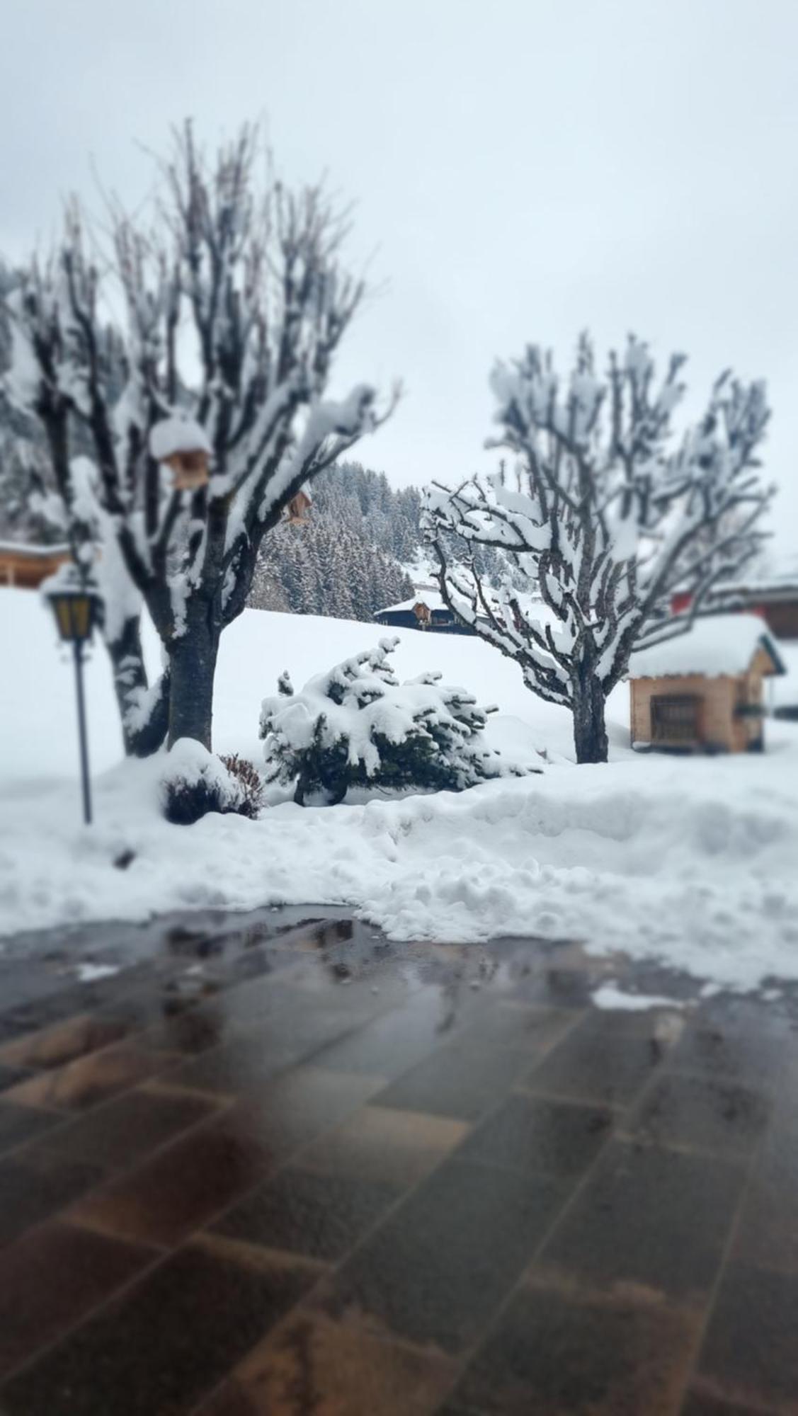 B&B Ciauceia Selva di Val Gardena Ngoại thất bức ảnh