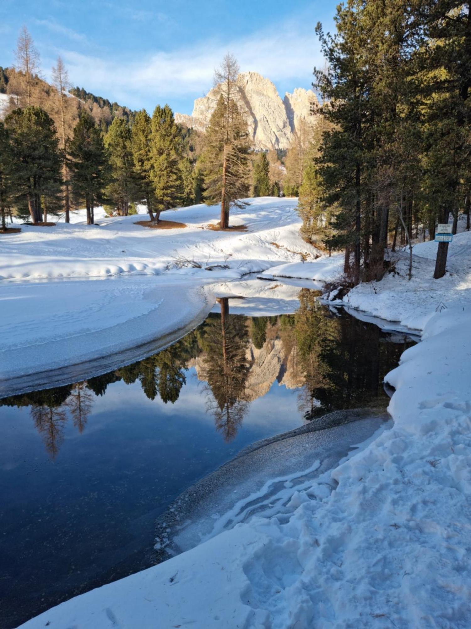B&B Ciauceia Selva di Val Gardena Ngoại thất bức ảnh